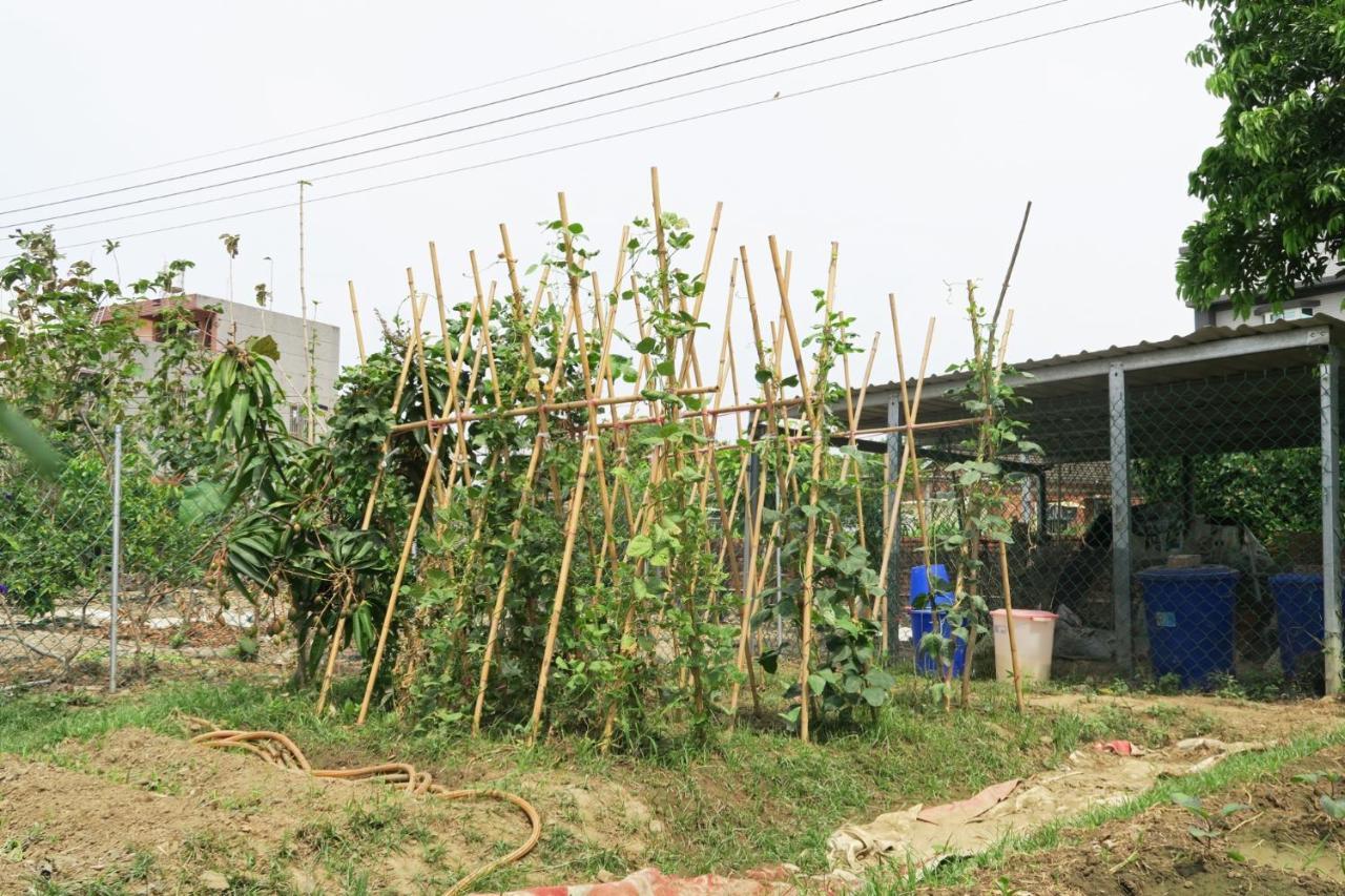 嘉義泊岸居民宿 Lucao Buitenkant foto