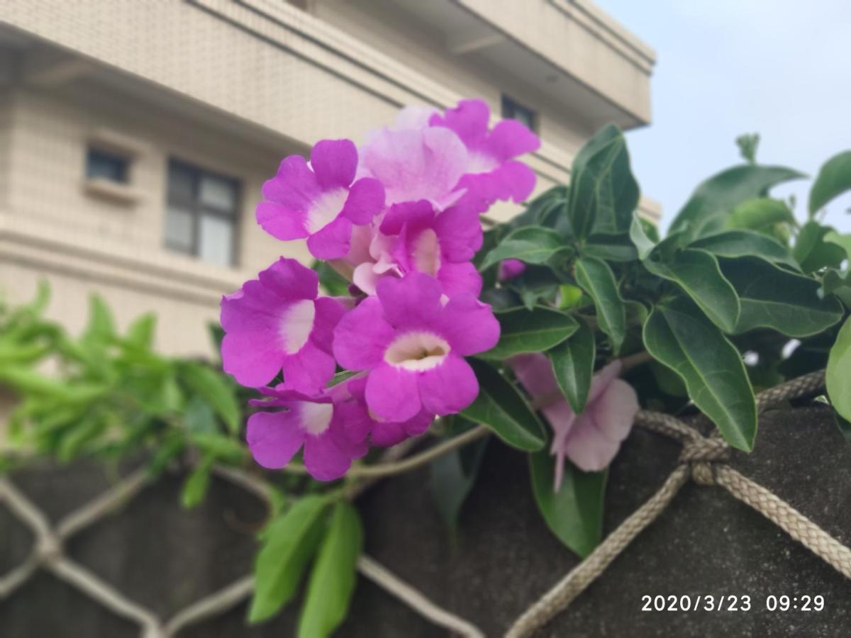 嘉義泊岸居民宿 Lucao Buitenkant foto